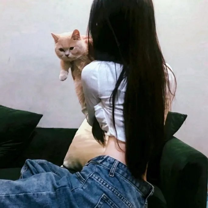 外宿的霍莉