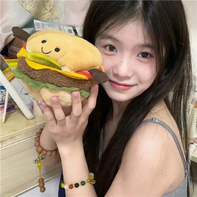 傲骨之战第六季